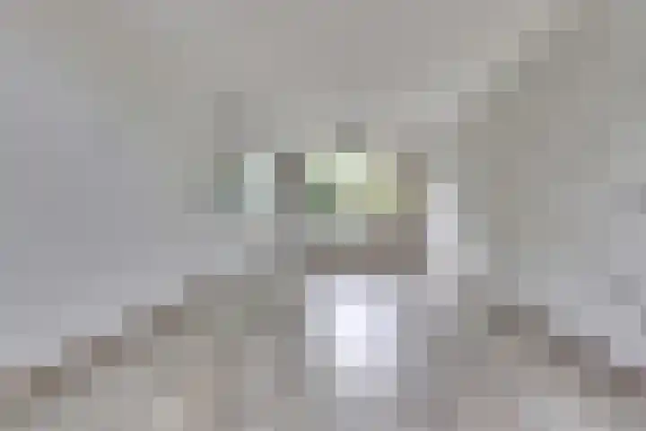 Westerzicht 381 Vlissingen thumbnail 12