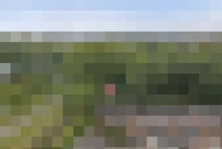 Westerzicht 381 Vlissingen thumbnail 34