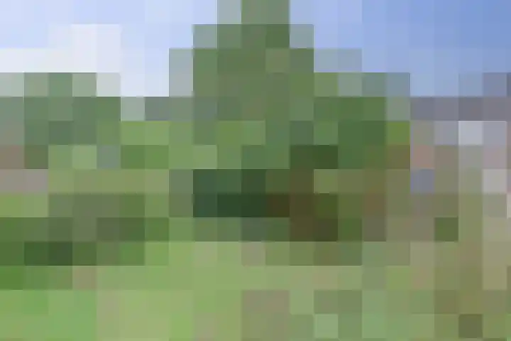 Westerzicht 401 Vlissingen thumbnail 22