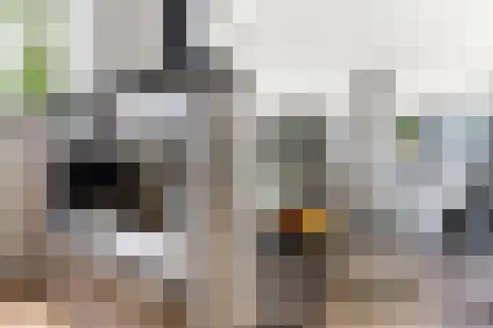 Westerzicht 465 Vlissingen thumbnail 14