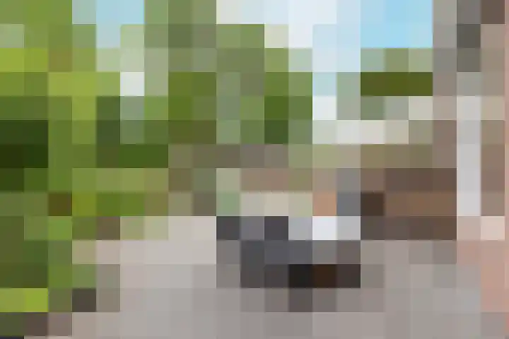 Westerzicht 465 Vlissingen thumbnail 16