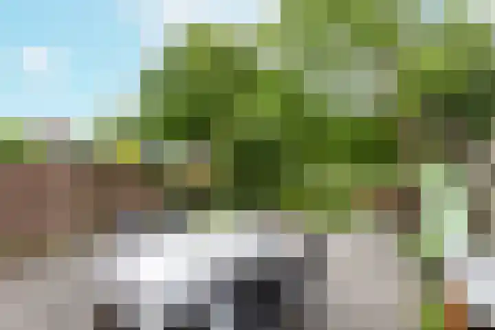 Westerzicht 465 Vlissingen thumbnail 17