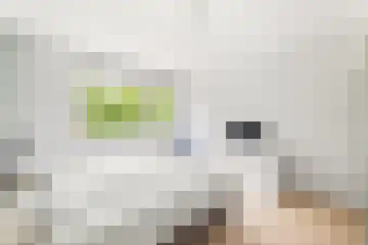 Westerzicht 465 Vlissingen thumbnail 20