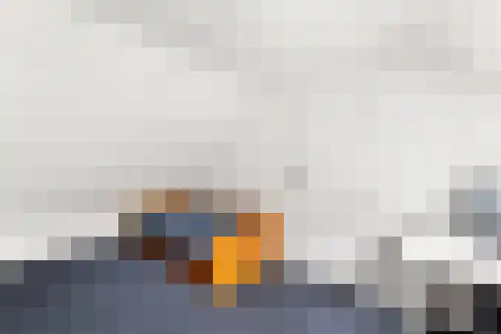 Westerzicht 465 Vlissingen thumbnail 31