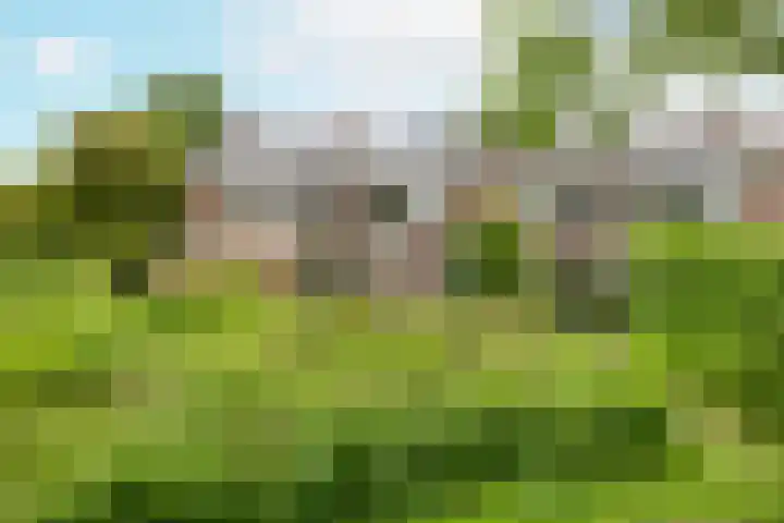 Westerzicht 465 Vlissingen thumbnail 4