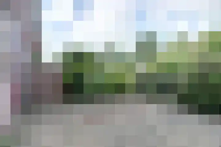 Westerzicht 547 Vlissingen thumbnail 25
