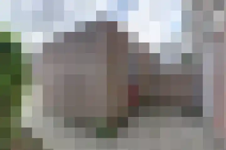 Westerzicht 547 Vlissingen thumbnail 8