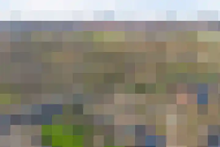 Westerzicht 595 Vlissingen thumbnail 23