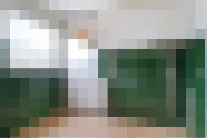 Westerzicht 601 Vlissingen thumbnail 13