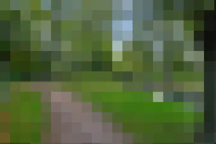 Westerzicht 601 Vlissingen thumbnail 25