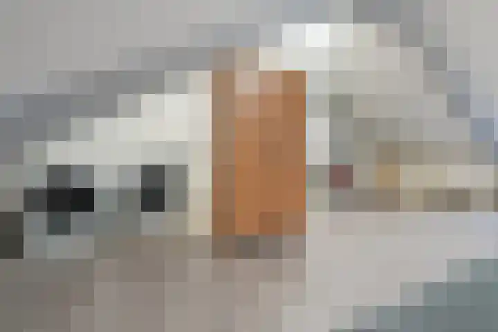 Westerzicht 618 Vlissingen thumbnail 20