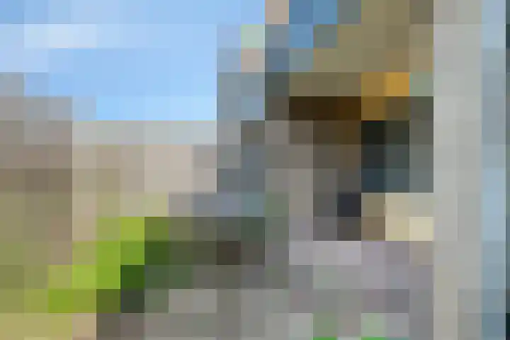 Westerzicht 621 Vlissingen thumbnail 17