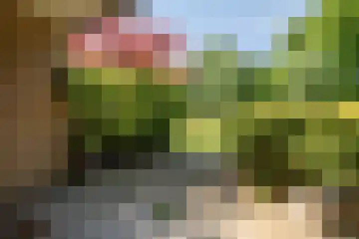 Westerzicht 637 Vlissingen thumbnail 17