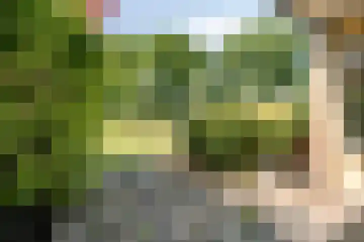 Westerzicht 637 Vlissingen thumbnail 18