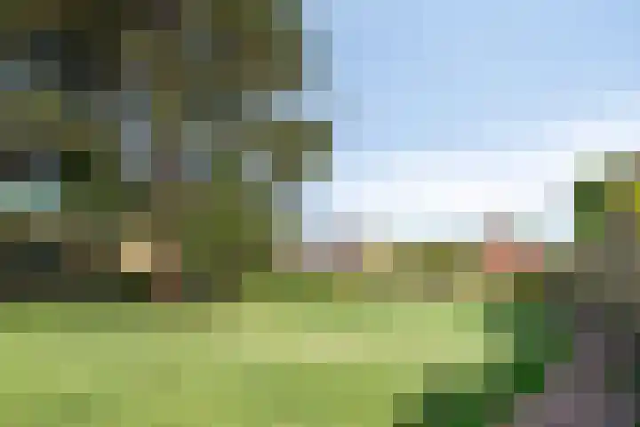 Westerzicht 637 Vlissingen thumbnail 21