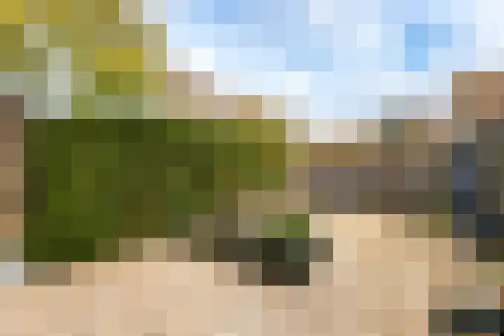 Westerzicht 648 Vlissingen thumbnail 18