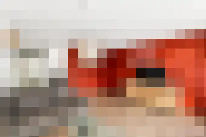 Westerzicht 648 Vlissingen thumbnail 9