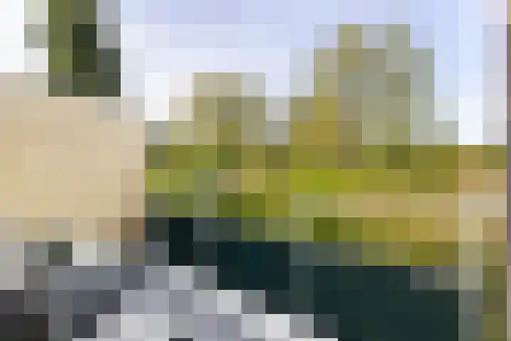 Westerzicht 679 Vlissingen thumbnail 11