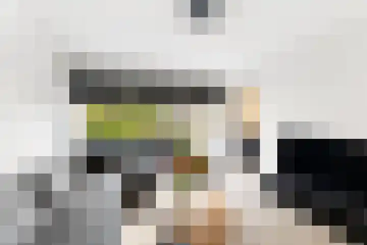 Westerzicht 679 Vlissingen thumbnail 7