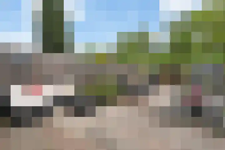 Westerzicht 727 Vlissingen thumbnail 22
