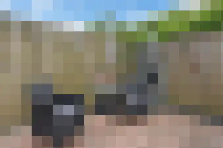 Westerzicht 727 Vlissingen thumbnail 24