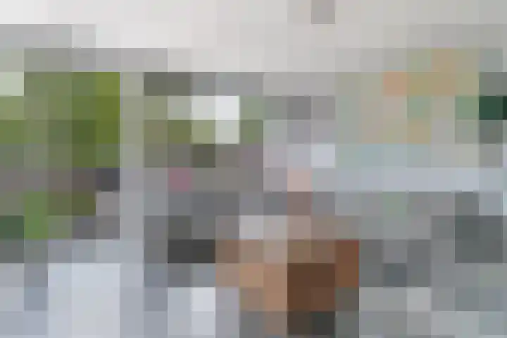 Westerzicht 727 Vlissingen thumbnail 9