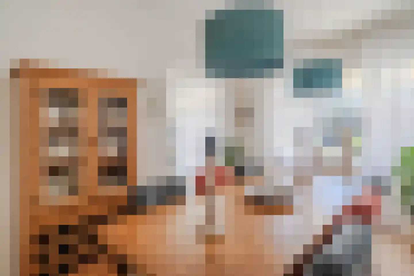 Westerzoom 19 Koog aan de Zaan thumbnail 13