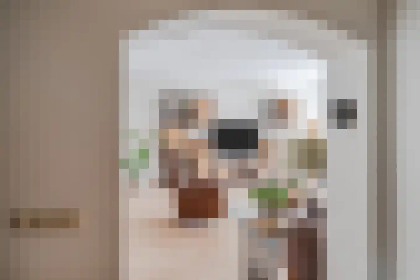 Westerzoom 19 Koog aan de Zaan thumbnail 16