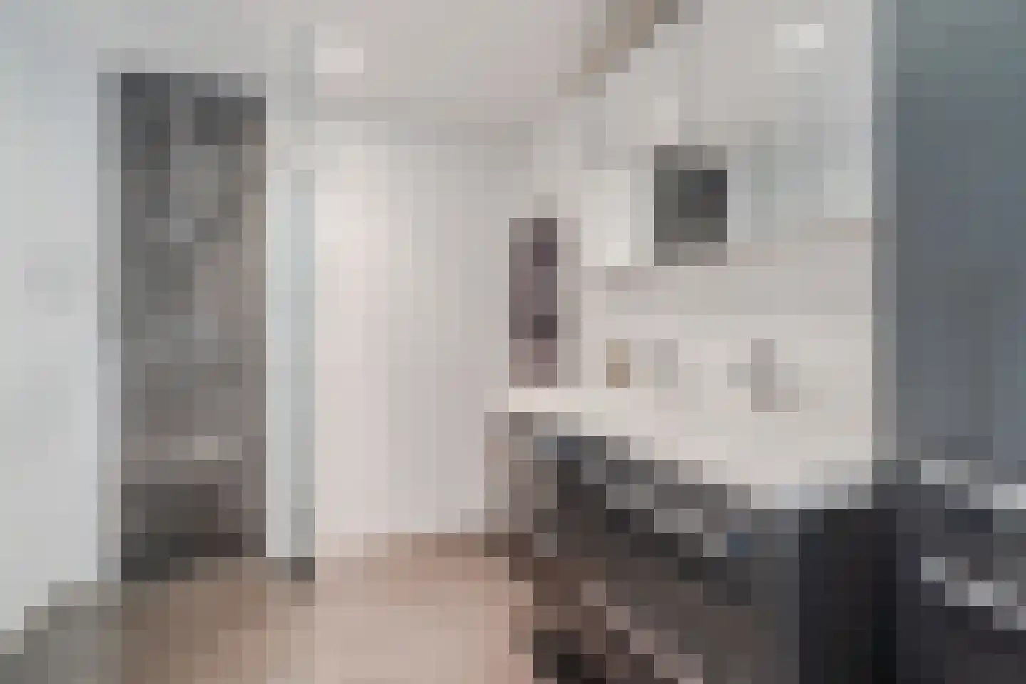 Westerzoom 19 Koog aan de Zaan thumbnail 4