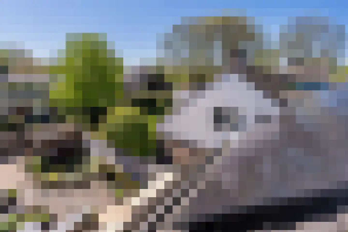 Westerzoom 19 Koog aan de Zaan thumbnail 45