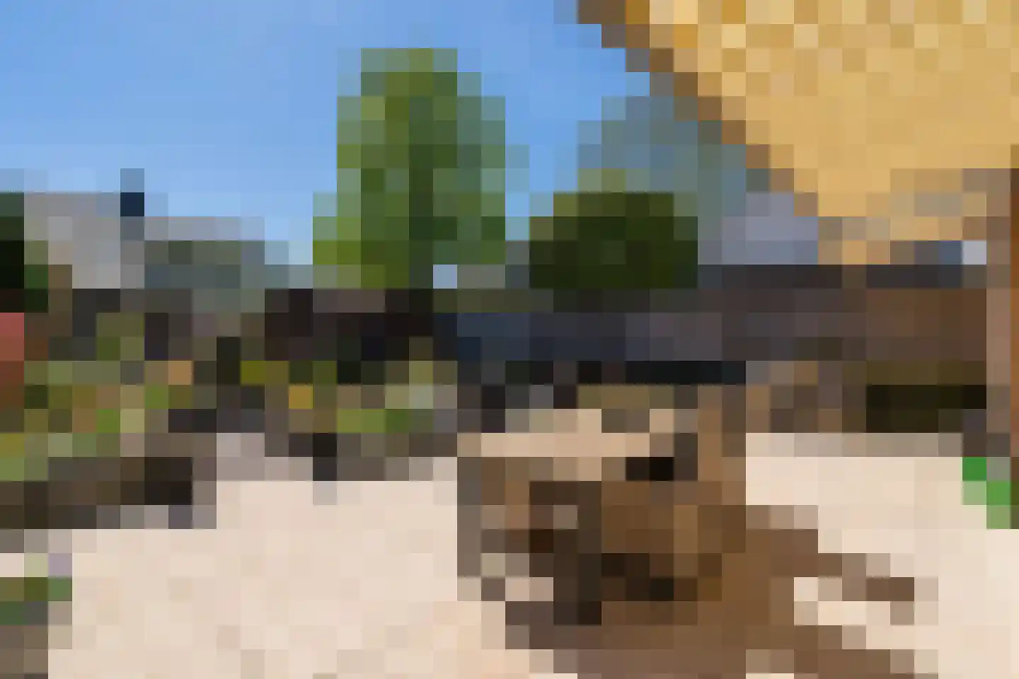 Westerzoom 19 Koog aan de Zaan thumbnail 48