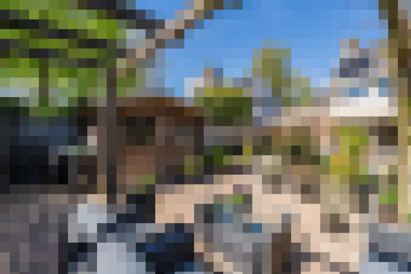 Westerzoom 19 Koog aan de Zaan thumbnail 50
