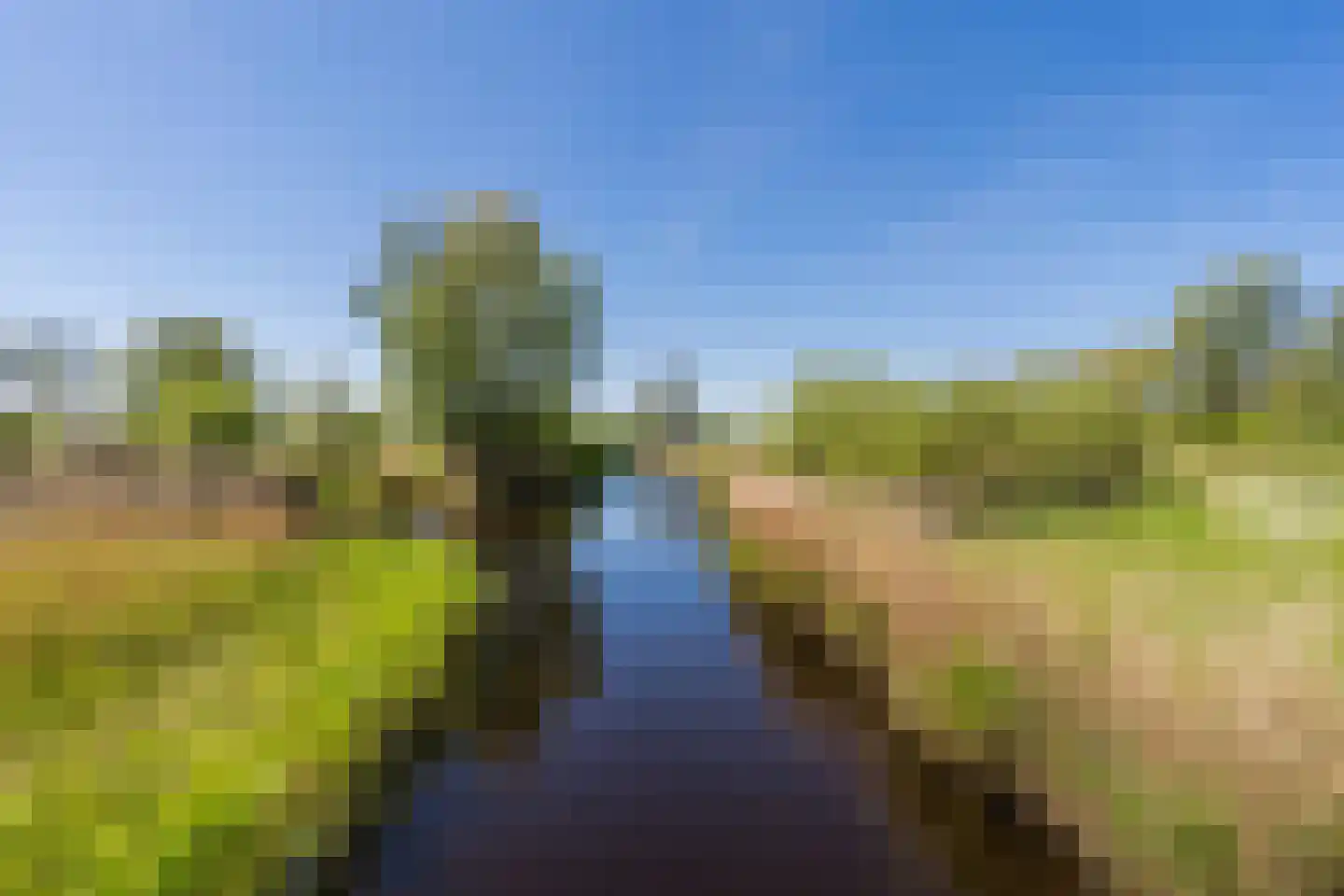 Westerzoom 19 Koog aan de Zaan thumbnail 54