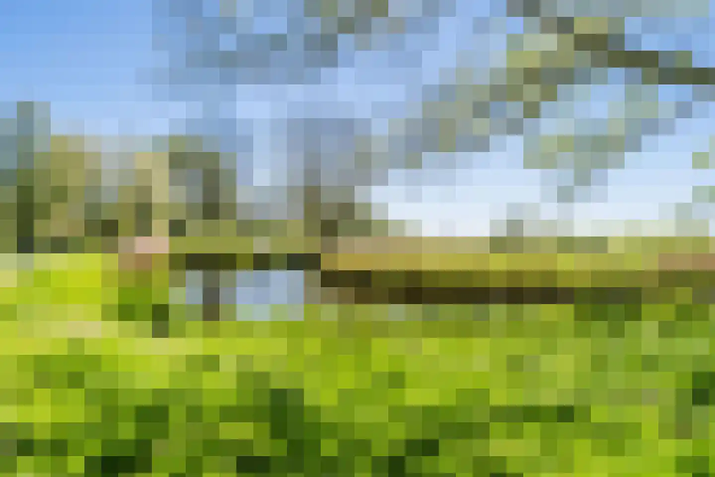 Westerzoom 19 Koog aan de Zaan thumbnail 57