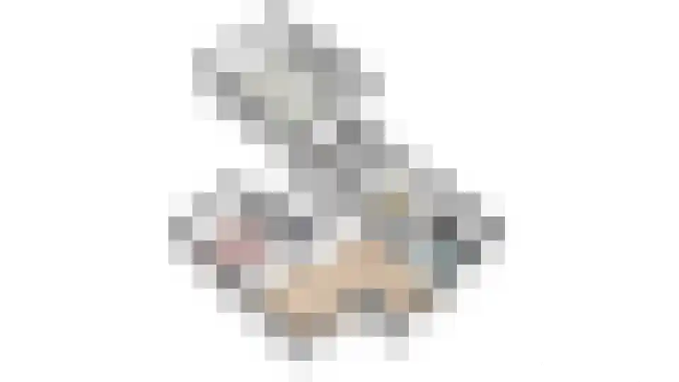 Westeweg 38 Koudum thumbnail 30