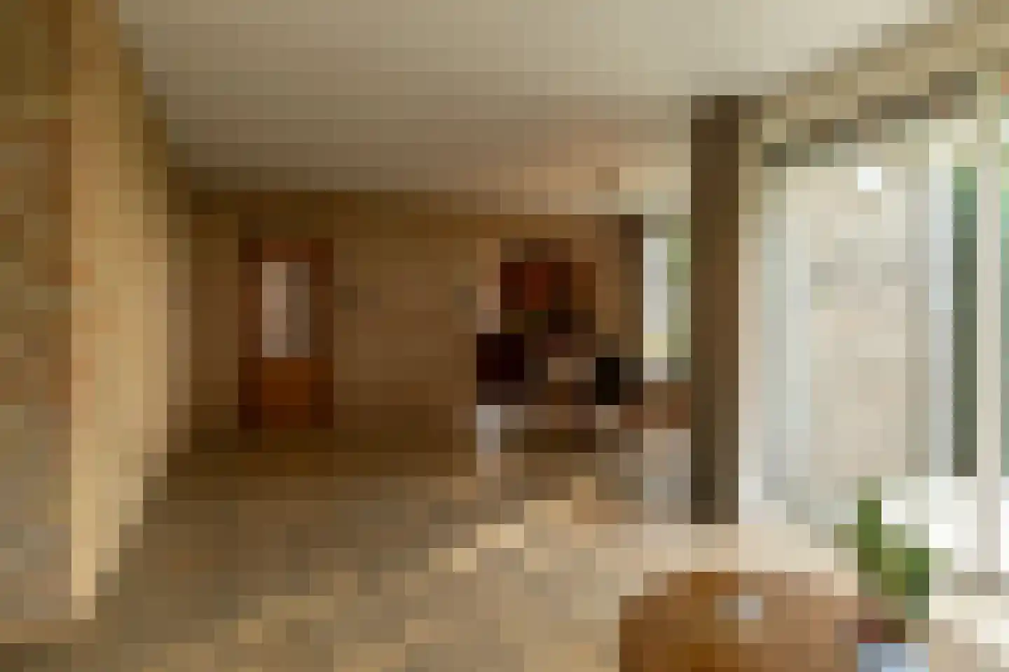 Westeweg 38 Koudum thumbnail 8
