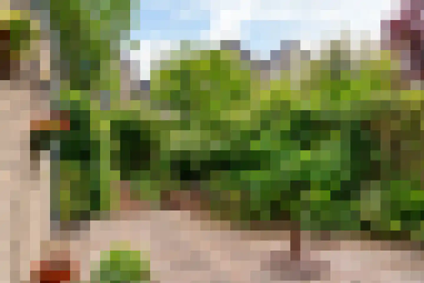 Westfalen 60 Utrecht thumbnail 23