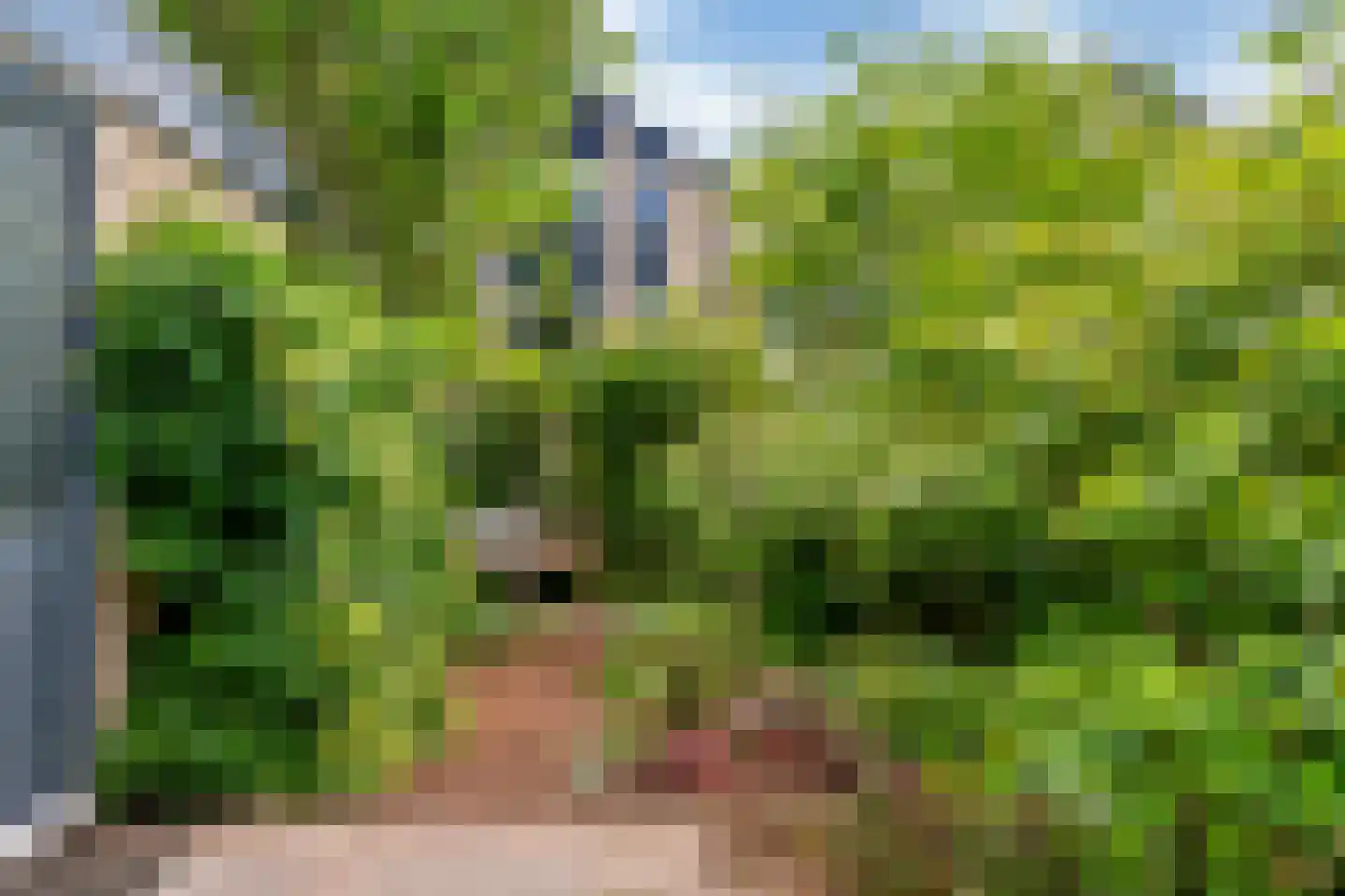 Westfalen 60 Utrecht thumbnail 24