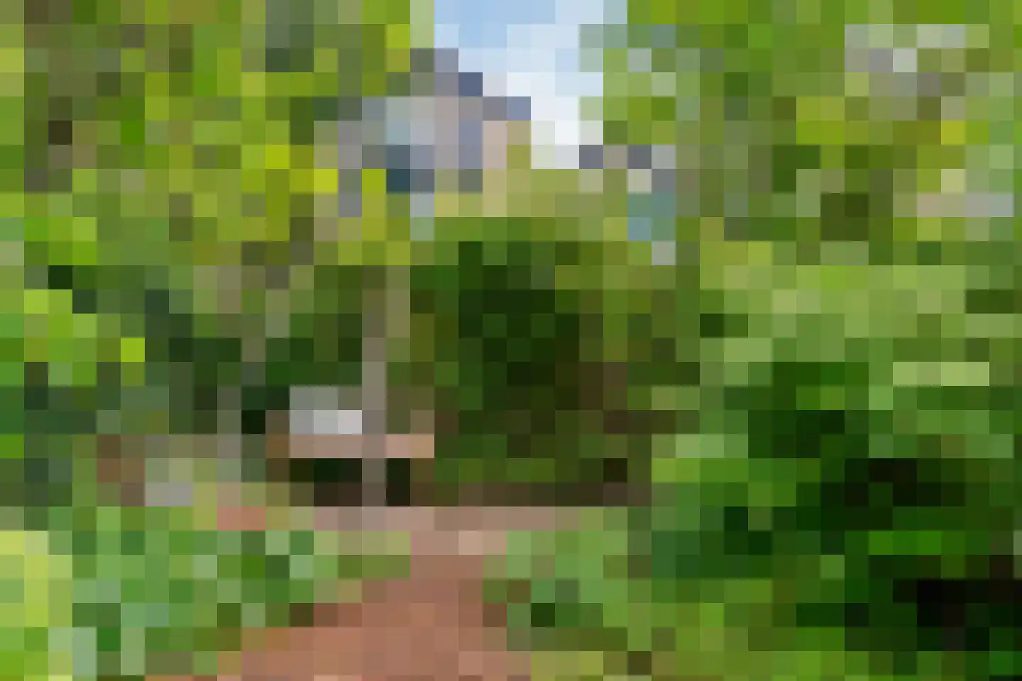 Westfalen 60 Utrecht thumbnail 25