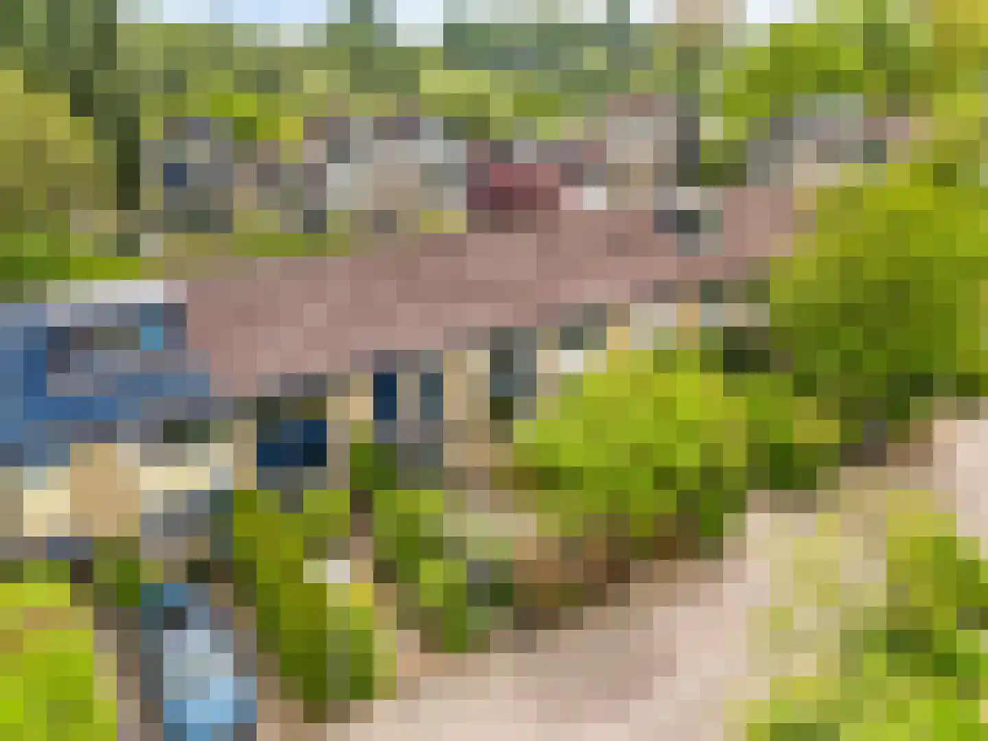 Westfalen 60 Utrecht thumbnail 34