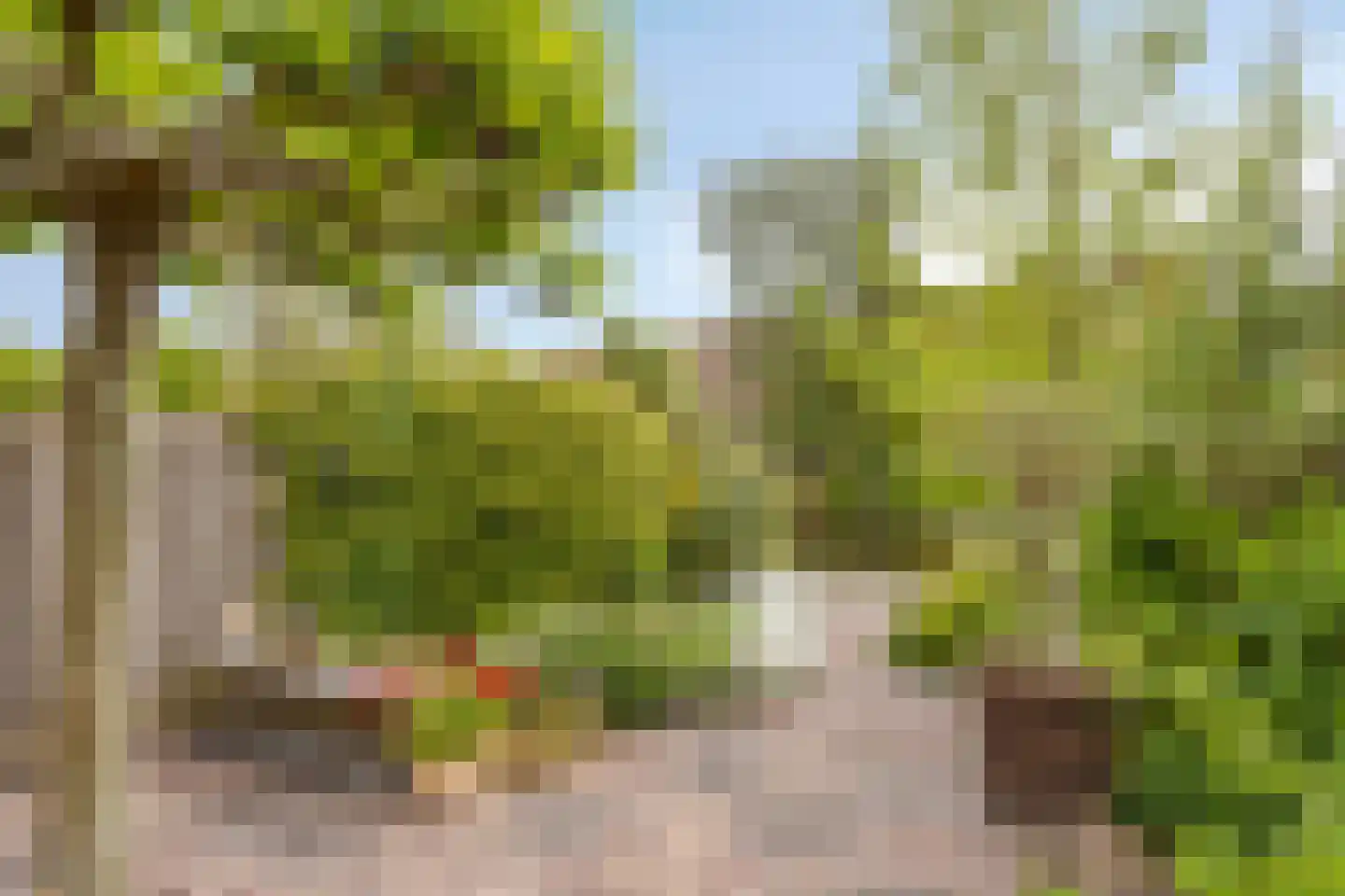 Westfalenstraat 71 Alkmaar thumbnail 22