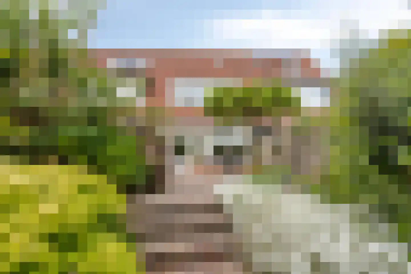 Westfalenstraat 71 Alkmaar thumbnail 25