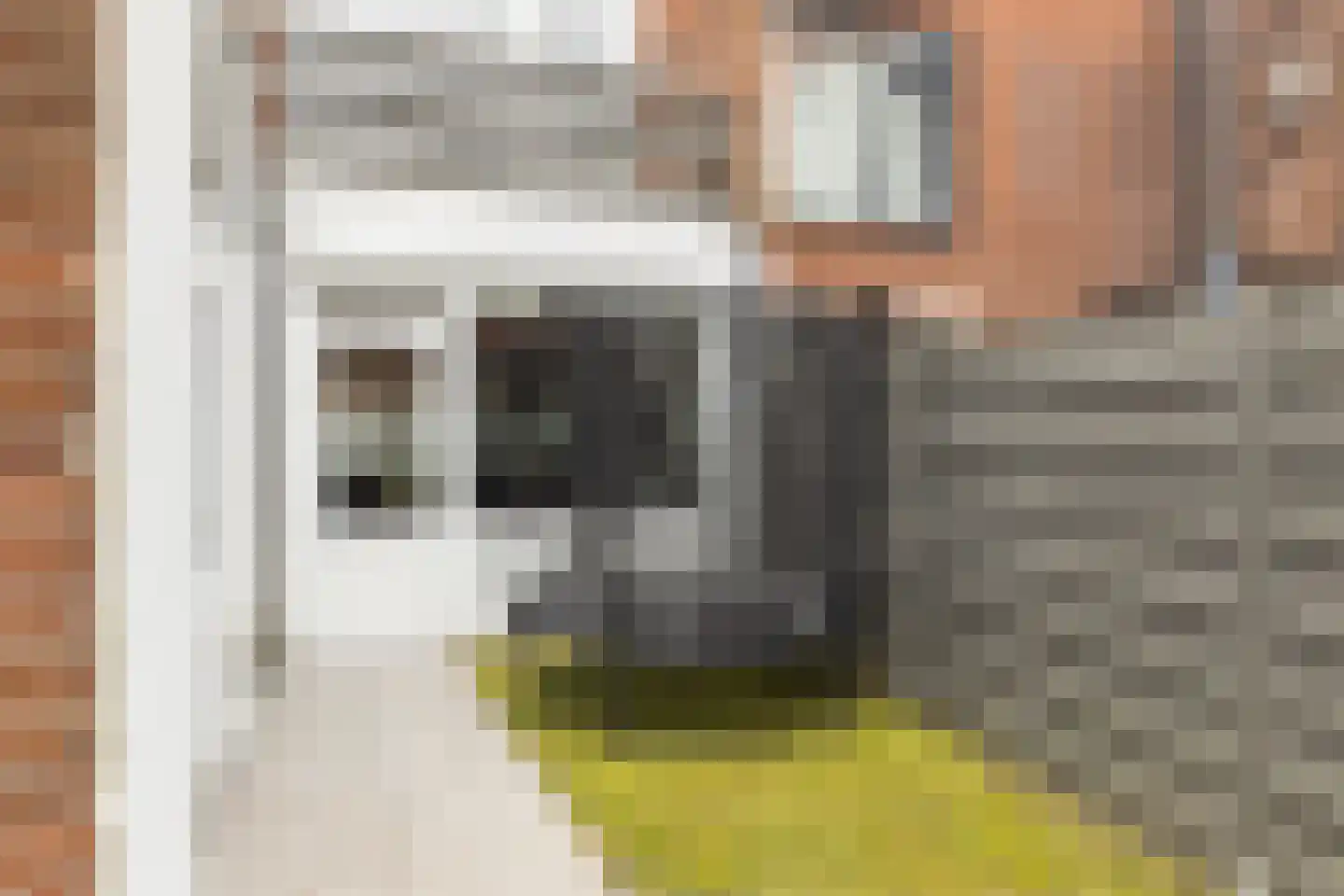 Westfrankelandsestraat 160 Schiedam thumbnail 19