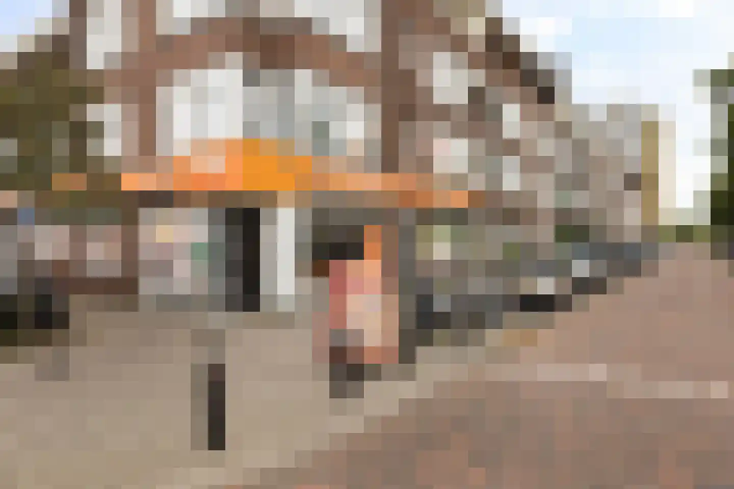 Westfrankelandsestraat 160 Schiedam thumbnail 44