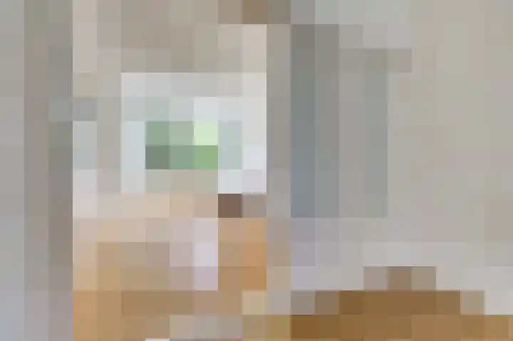 Westfrankelandsestraat 66 B Schiedam thumbnail 16