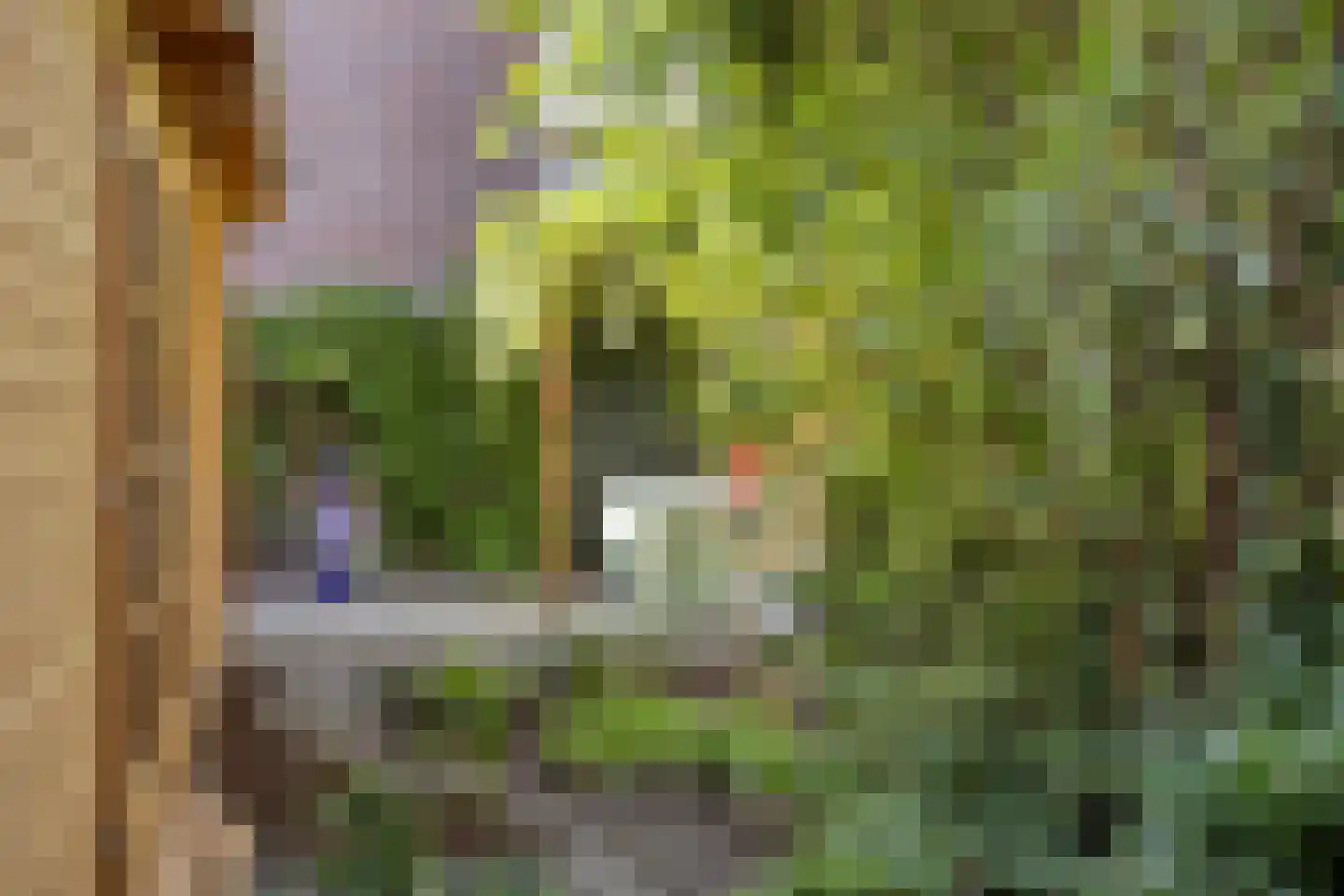 Westfrankelandsestraat 70 A Schiedam thumbnail 4