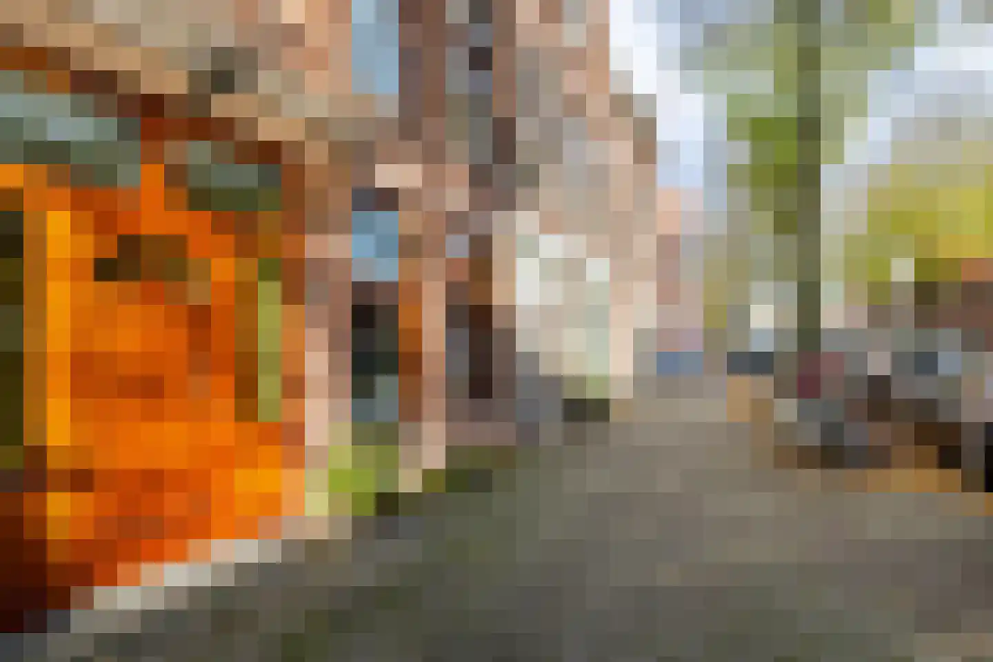 Westfrankelandsestraat 78 Schiedam thumbnail 5