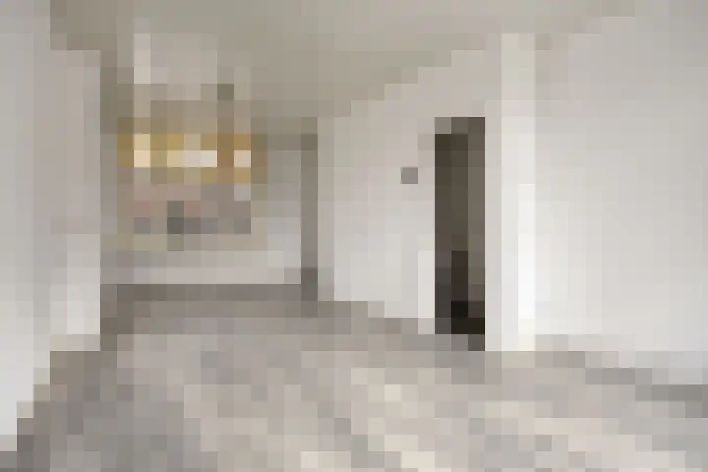 Westfrankelandsestraat 85 Schiedam thumbnail 9