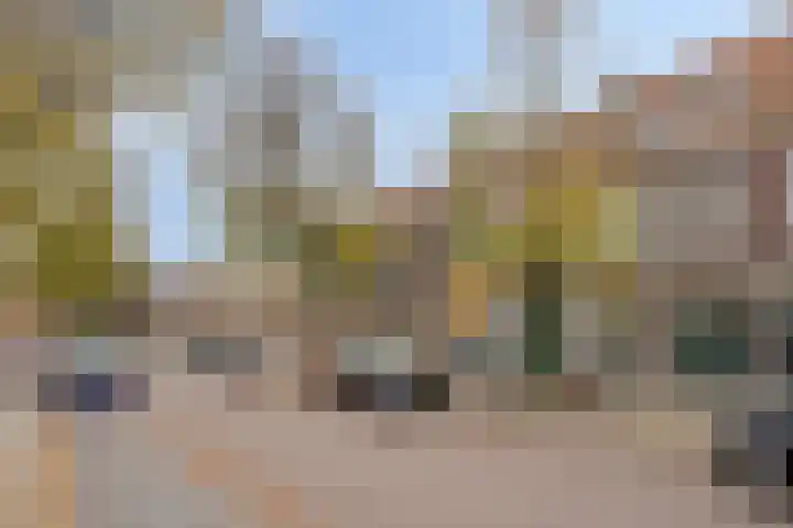 Westfrankelandsestraat 87 A Schiedam thumbnail 15