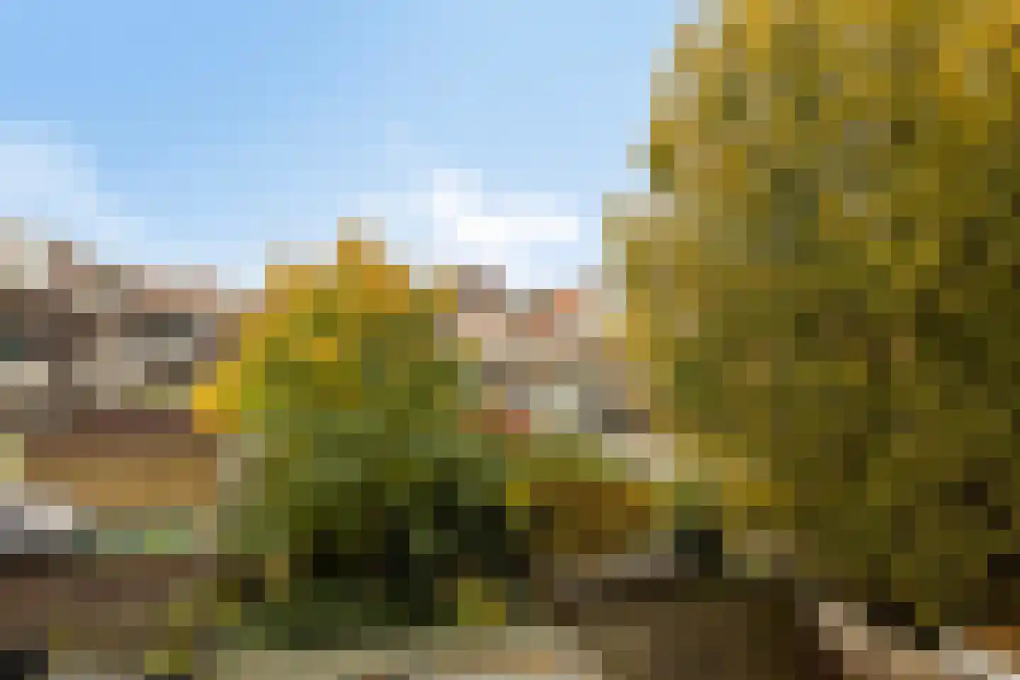Westfrankelandsestraat 87 B Schiedam thumbnail 21